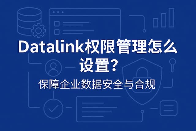 datalink权限管理怎么设置？保障企业数据安全与合规